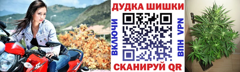blacksprut вход  Никольское  Шишки марихуана семена 